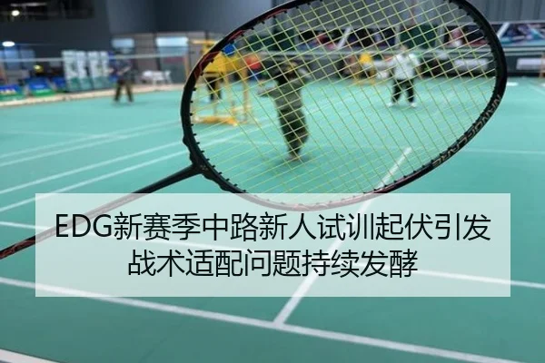EDG新赛季中路新人试训起伏引发战术适配问题持续发酵